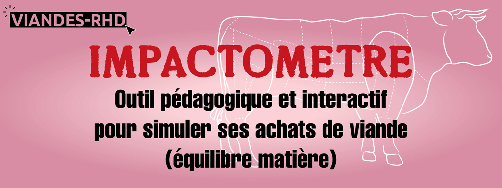 Impactometre